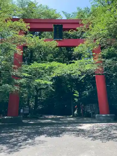 冠稲荷神社の鳥居