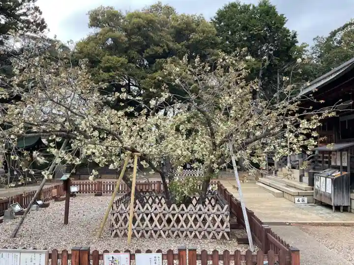 上地八幡宮(愛知県)