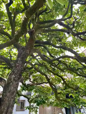 花蔵院(東京都)