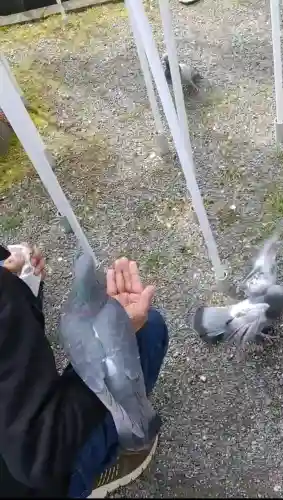 旗上弁財天社の{uncategorized: "未分類", other: "その他", undefined: "問題あり", building: "その他建物", grave: "お墓", sacred_gate: "鳥居", guardian: "狛犬", statue: "像", buddha: "仏像", history: "歴史", nature: "自然", garden: "庭園", animal: "動物", pagoda: "塔", temizu: "手水舎", mountain_gate: "山門・神門", sanctuary: "本殿・本堂", subordinate: "末社・摂社", art: "芸術", scenery: "景色", jizo: "地蔵", ema: "絵馬", goshuin: "御朱印", omikuji: "おみくじ", items: "授与品その他", amulet: "お守り", goshuincho: "御朱印帳", eats: "食事", festival: "お祭り", votive_dance: "神楽", shichigosan: "七五三参", wedding: "結婚式", experience: "体験その他", initially: "初詣", around: "周辺", anti_infection: "感染症対策"}