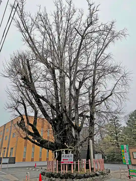 津島神社の周辺