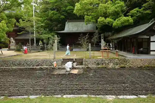 大山祇神社(愛媛県)