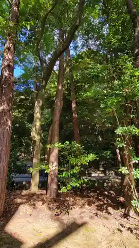 猿田彦神社の建物その他