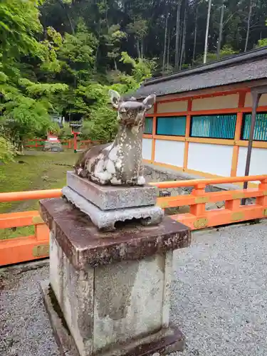 大原野神社の狛犬