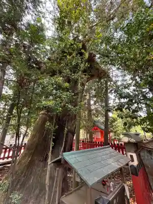 北野天満宮(京都府)