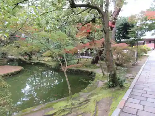 唐招提寺の庭園