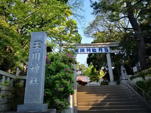 玉川神社の鳥居