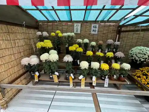 諏訪大社(長野県)