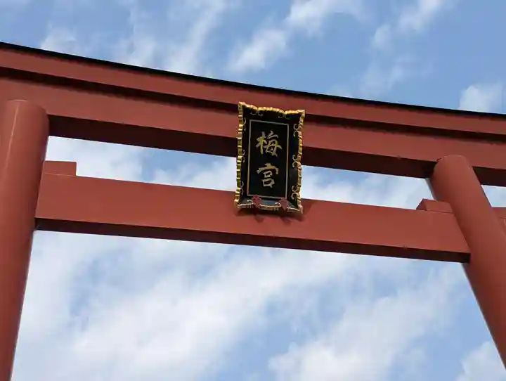 梅宮大社(京都府)