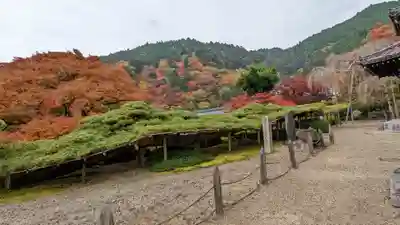 善峯寺(京都府)