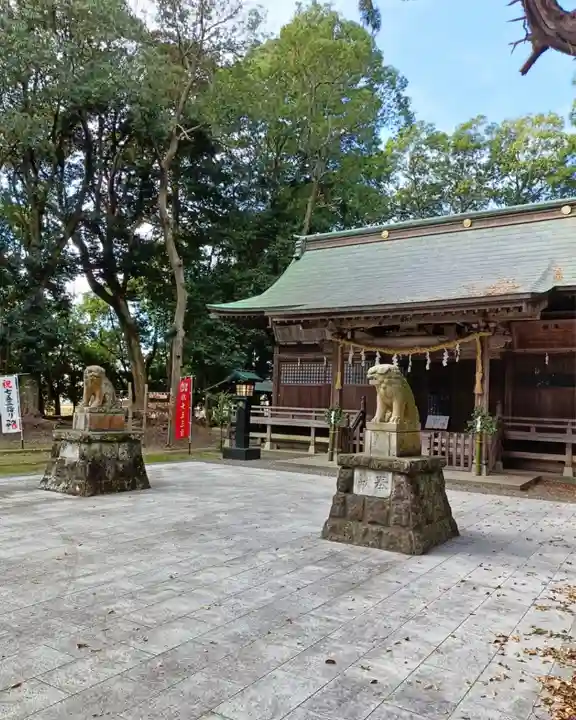 諏訪八幡神社の狛犬