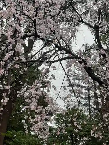 伊勢山皇大神宮の自然