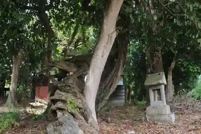 藤稲荷神社の末社・摂社