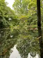 富士山本宮浅間大社(静岡県)