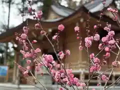 須山浅間神社(静岡県)