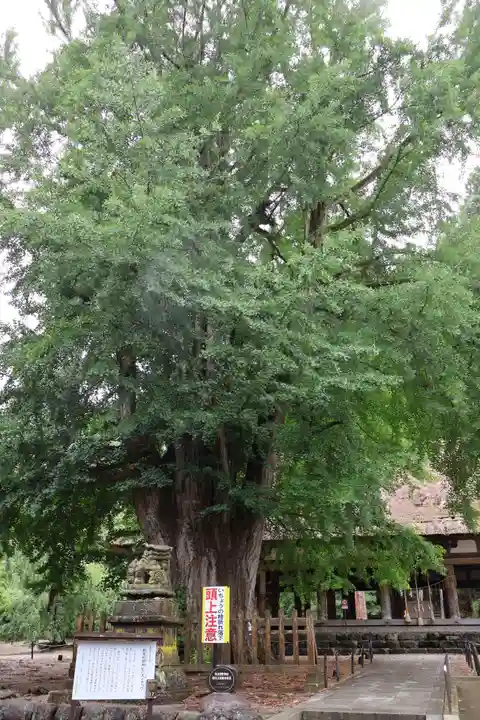 新宮熊野神社(福島県)