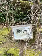 大和神社(奈良県)