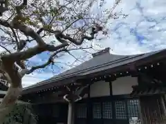 福聚寺の本殿