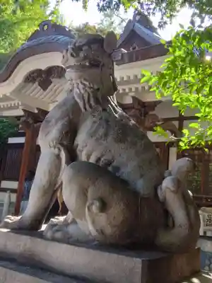 鳥越神社(東京都)