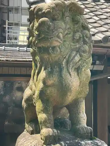妙善寺の狛犬