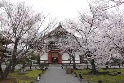 東寺（教王護国寺）(京都府)