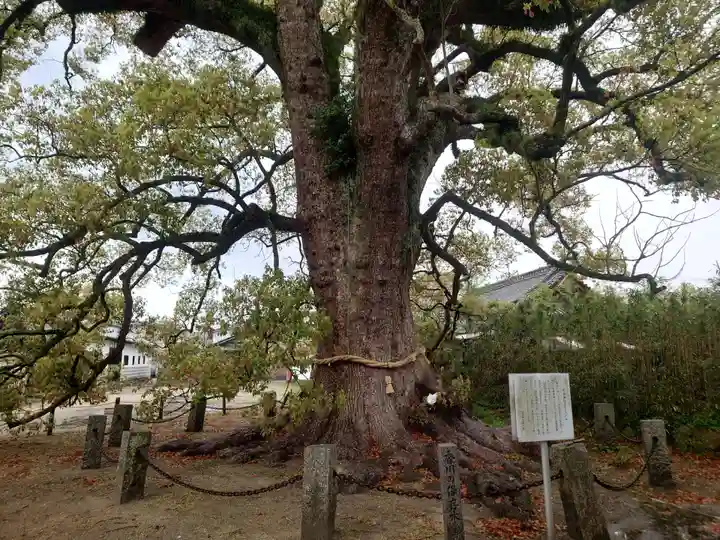 白鳥神社(香川県)