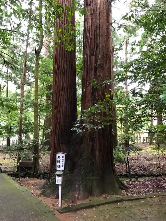 若狭彦神社(上社)の自然