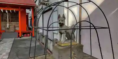 伏見大漁稲荷神社の狛犬