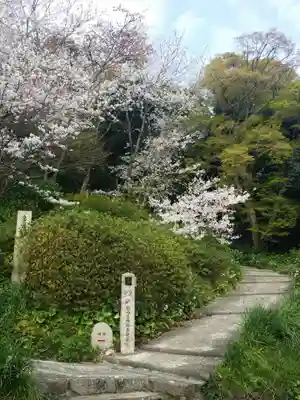 長保寺の庭園