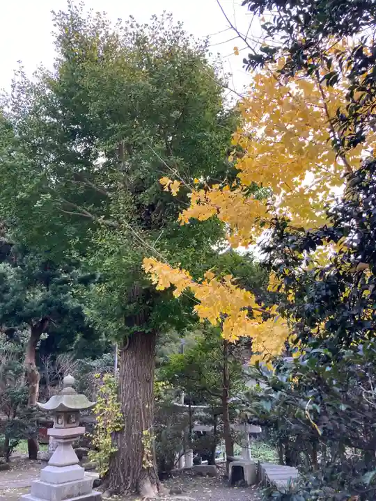 熊野新宮(神奈川県)