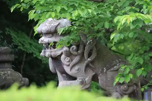 神炊館神社 ⁂奥州須賀川総鎮守⁂の狛犬