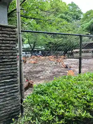 三嶋大社(静岡県)