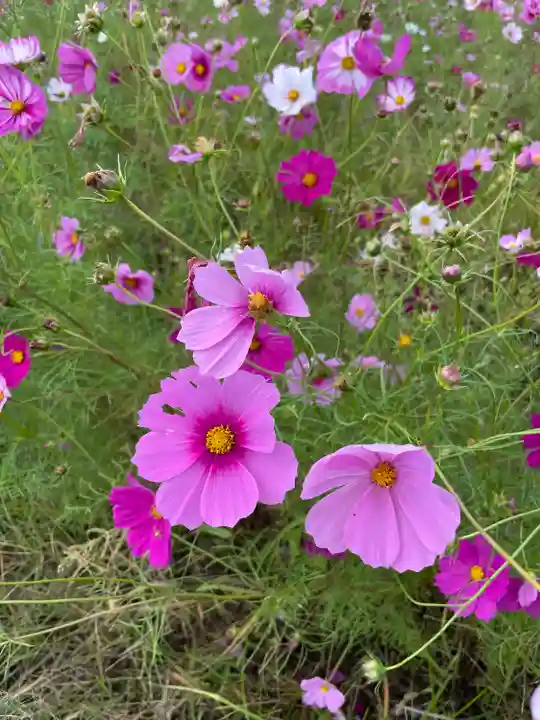法起寺(奈良県)