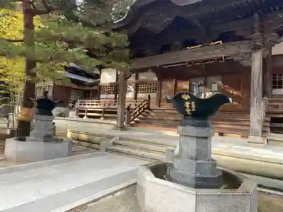 常安寺の本殿・本堂