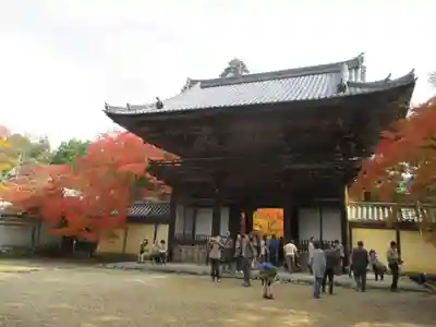 神護寺の山門・神門