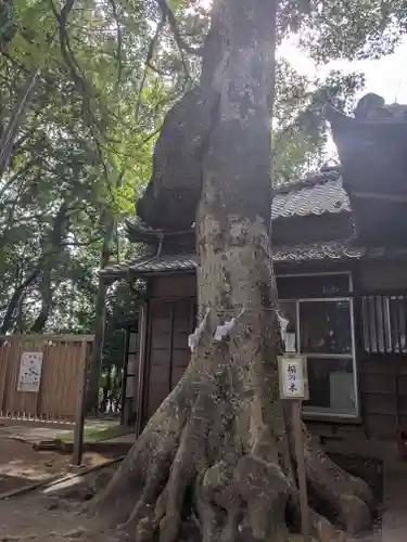 氷川女體神社の自然