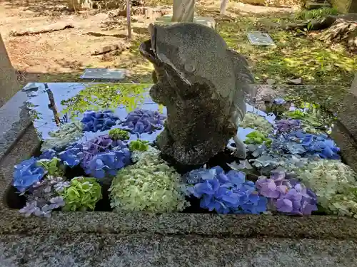 神炊館神社 ⁂奥州須賀川総鎮守⁂の手水