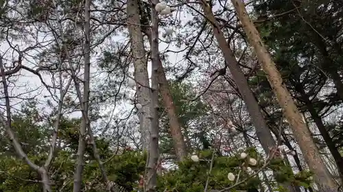 旭川天満宮の自然