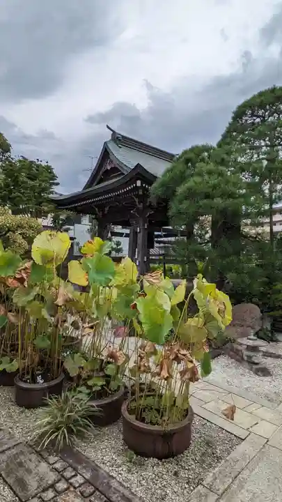 円林寺(東京都)