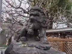 湯島天満宮の狛犬