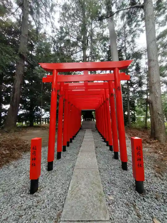甲斐國一宮 浅間神社の鳥居