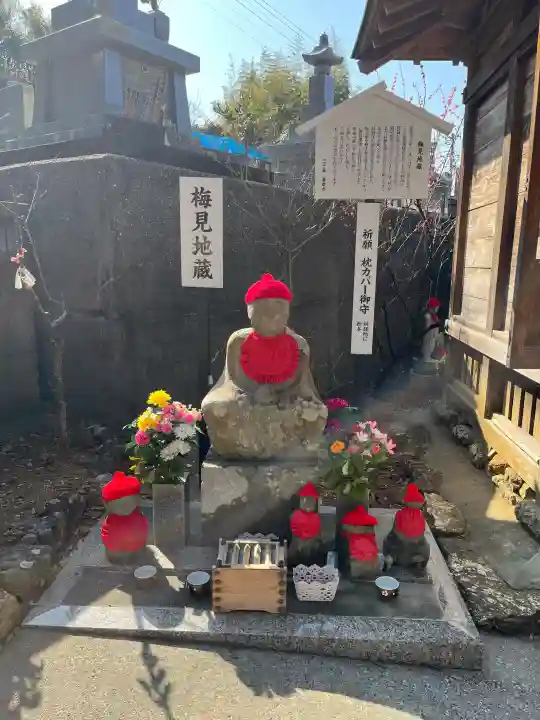 善楽寺の{uncategorized: "未分類", other: "その他", undefined: "問題あり", building: "その他建物", grave: "お墓", sacred_gate: "鳥居", guardian: "狛犬", statue: "像", buddha: "仏像", history: "歴史", nature: "自然", garden: "庭園", animal: "動物", pagoda: "塔", temizu: "手水舎", mountain_gate: "山門・神門", sanctuary: "本殿・本堂", subordinate: "末社・摂社", art: "芸術", scenery: "景色", jizo: "地蔵", ema: "絵馬", goshuin: "御朱印", omikuji: "おみくじ", items: "授与品その他", amulet: "お守り", goshuincho: "御朱印帳", eats: "食事", festival: "お祭り", votive_dance: "神楽", shichigosan: "七五三参", wedding: "結婚式", experience: "体験その他", initially: "初詣", around: "周辺", anti_infection: "感染症対策"}