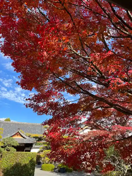 神光院(京都府)