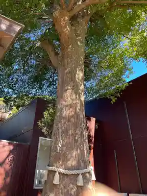 酒列磯前神社(茨城県)