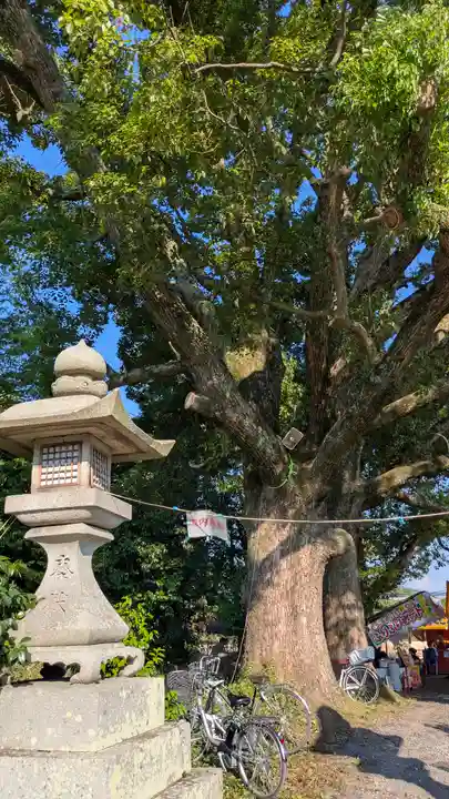 藤越神社(京都府)
