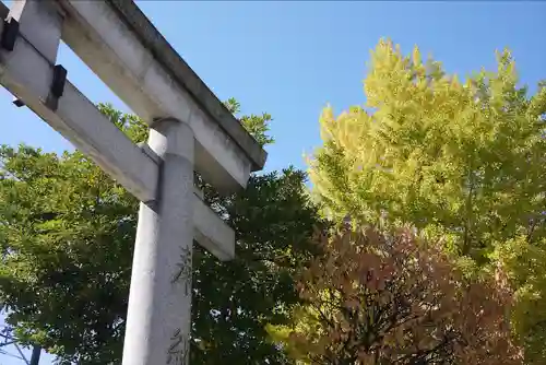 尾久八幡神社(東京都)