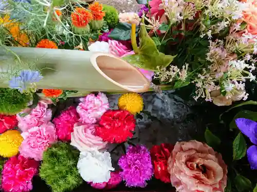 勝林寺(京都府)