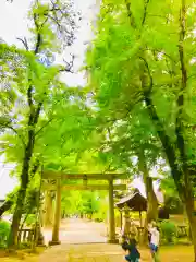 野木神社の鳥居