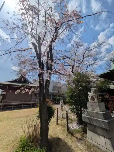 三谷八幡神社(東京都)