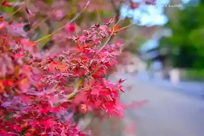 建長寺(神奈川県)